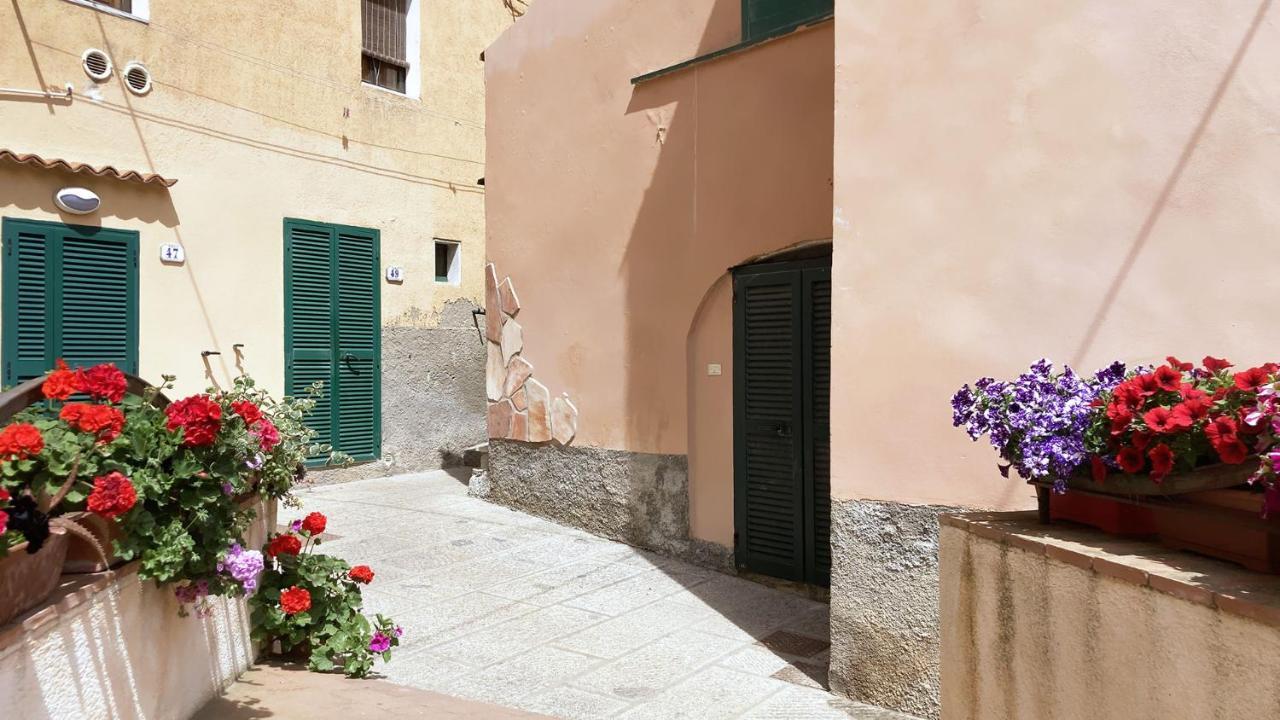 La Casa Di Rosa - Argonautivacanze Rio Marina Dış mekan fotoğraf